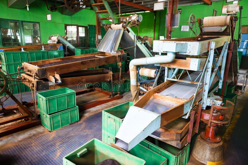 Sorting and grading